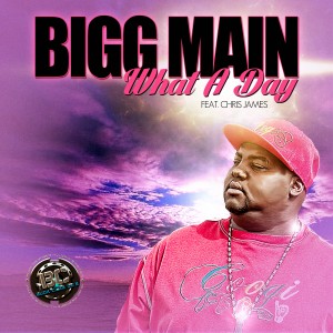 Bigg Main What a Day (1)
